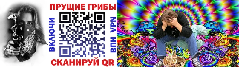 Псилоцибиновые грибы мицелий  что такое   hydra ссылки  Козловка 